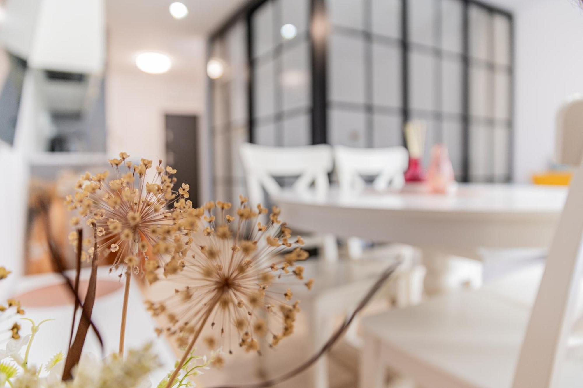 Jula Aqua Polanki Apartment โควอบเซก ภายนอก รูปภาพ